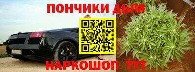 индика Балахна