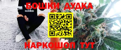 индика Балахна