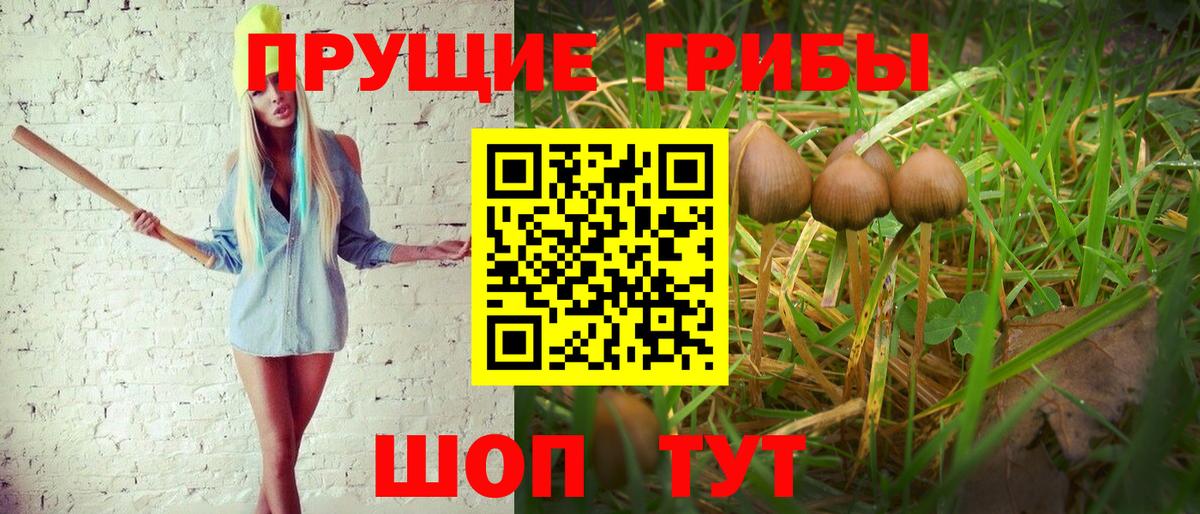 ГАШ  МАРИХУАНА  Егорьевск  Вход с VPN  НБОМе  МЕФ   КОКАИН 